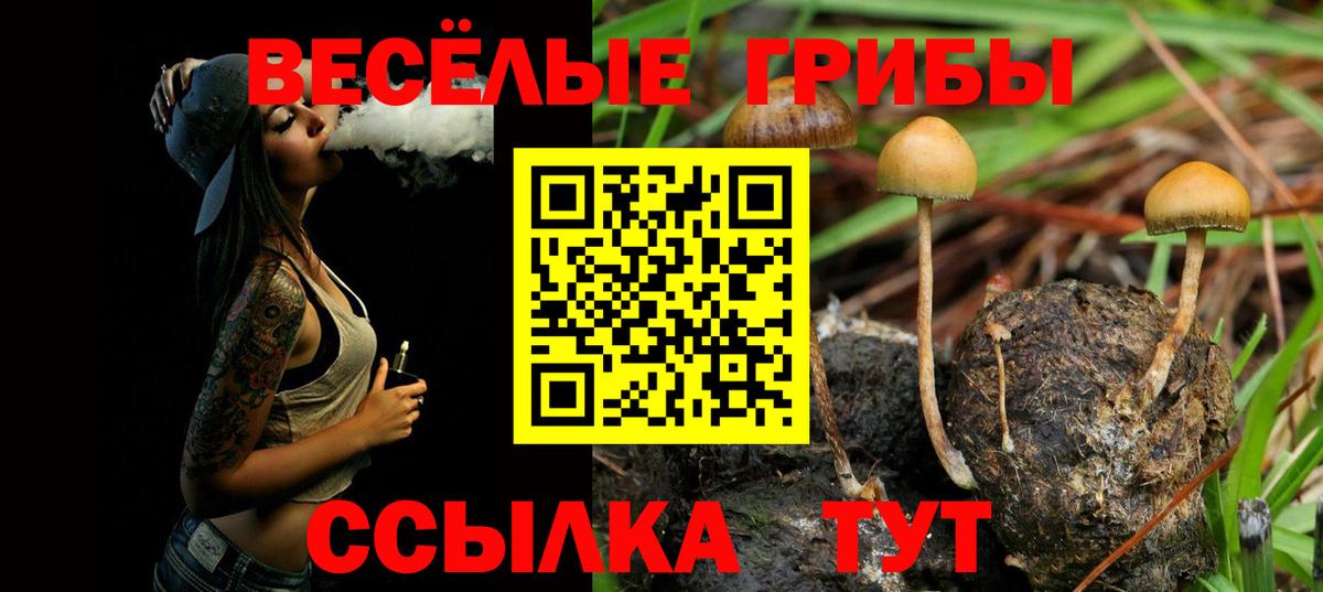 Галлюциногенные грибы прущие грибы Конаково